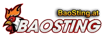 baosting.at
